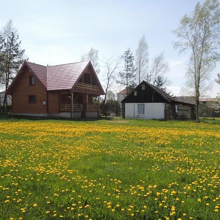 Villa Ptasi Folwark Stare Dolistowo Exterior foto