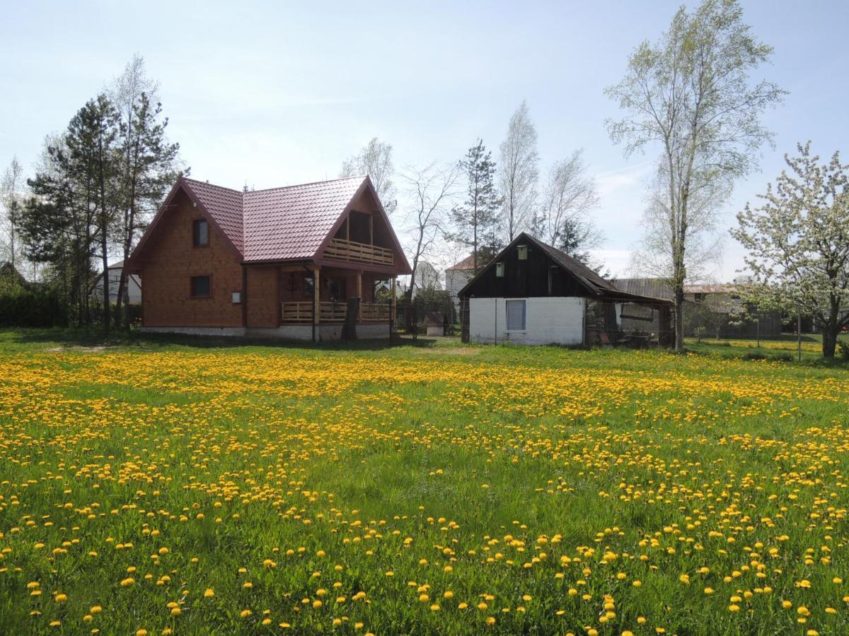 Villa Ptasi Folwark Stare Dolistowo Exterior foto