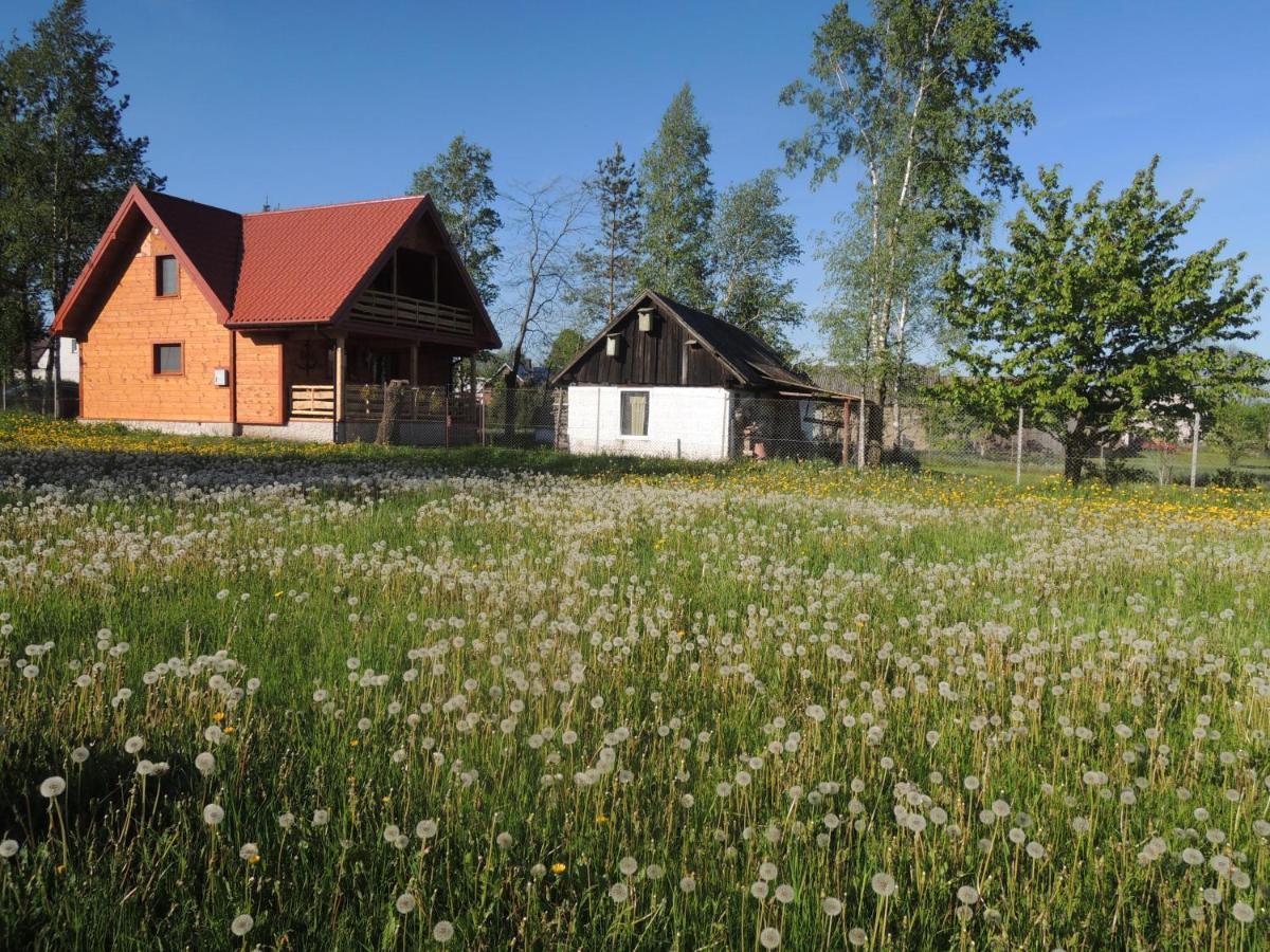 Villa Ptasi Folwark Stare Dolistowo Exterior foto